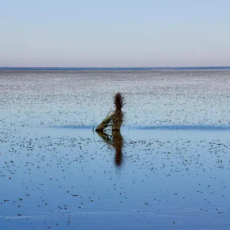 Apartment Quartier Hohe Geest 22 *