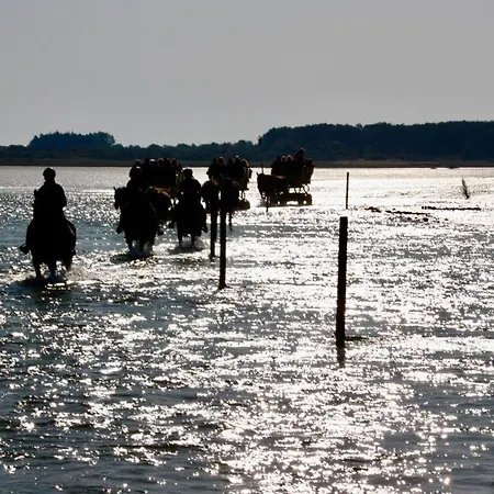 Quartier Hohe Geest 22 Apartment