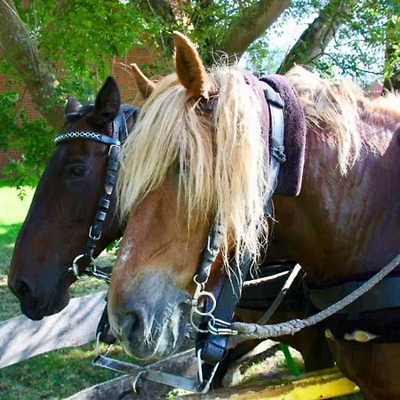 Quartier Hohe Geest 22 * Cuxhaven