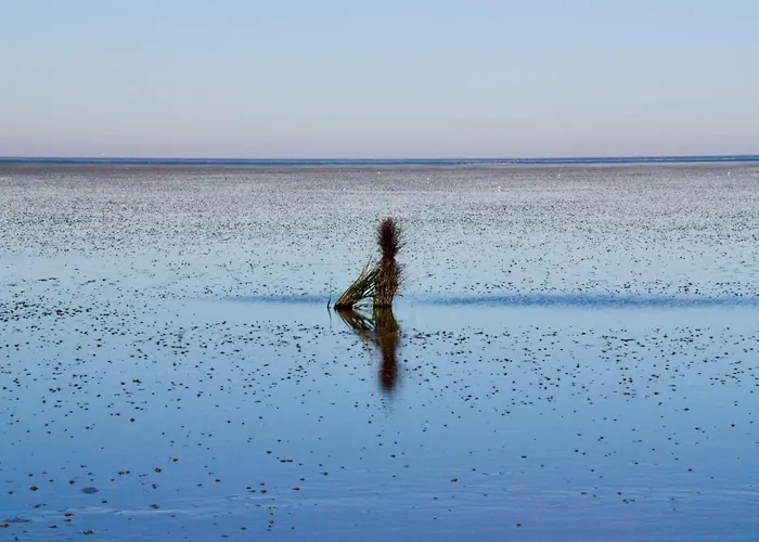 Апартаменты Quartier Hohe Geest 22 *