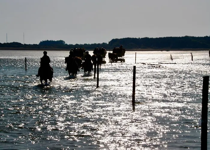 Quartier Hohe Geest 22 דירה