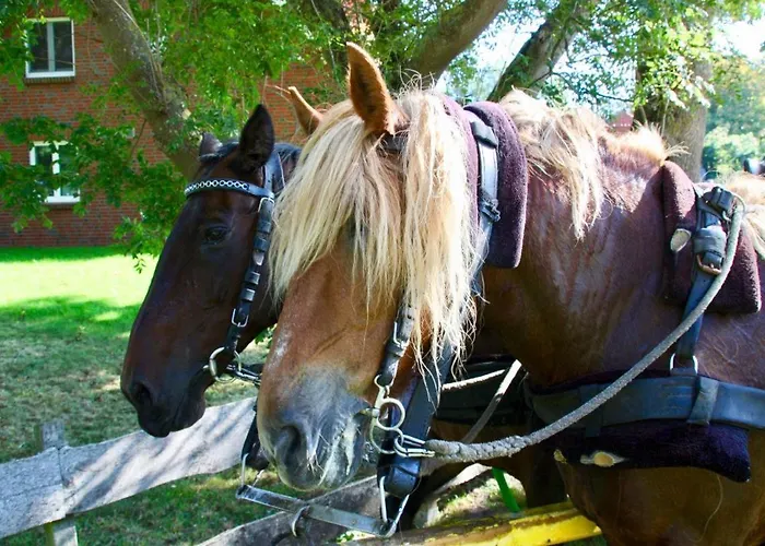 Quartier Hohe Geest 22 * Куксхафен