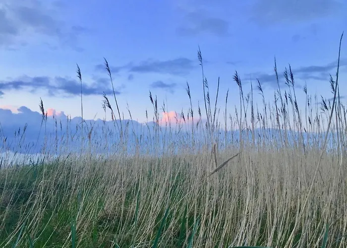 Quartier Hohe Geest 22