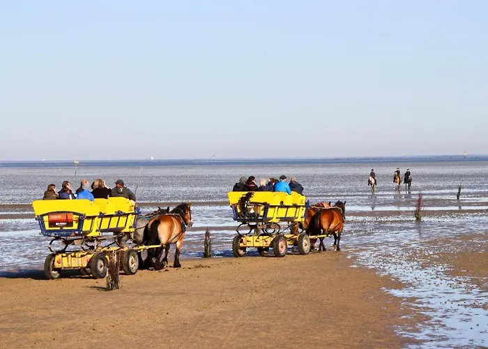 Quartier Hohe Geest 22 דירה